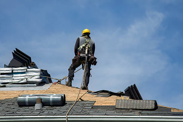 Professional Roof Repair technician working in Davis City, IA
